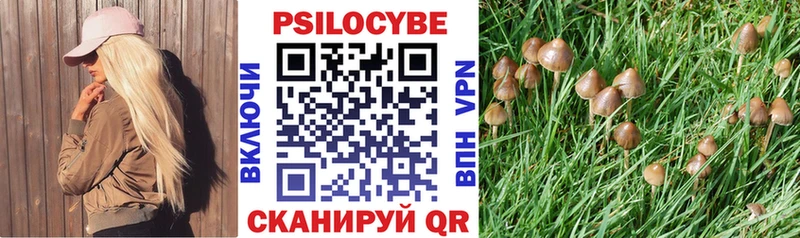 Псилоцибиновые грибы мухоморы  как найти закладки  Называевск 